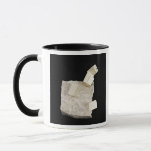 Mug Cristaux de pyrite en schiste