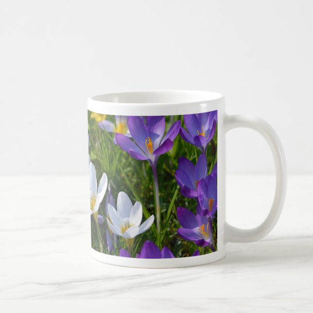 Mug Crocus frais de différentes couleurs (Droite)