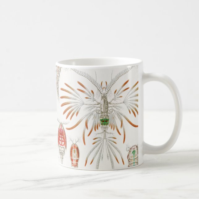 Mug Crustacés de la vie marine, Copépodes par Ernst Ha (Droite)