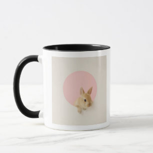 Mug Cuniculus 3 d'Oryctolagus