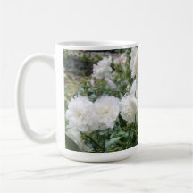 Cup with white antique roses
