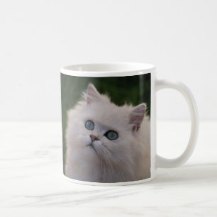 Mug Curieux chaton blanc mignon