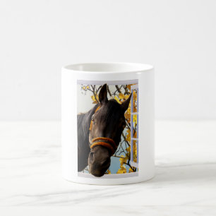 Mug Curieux Cheval À Travers La Fenêtre De La Cuisine