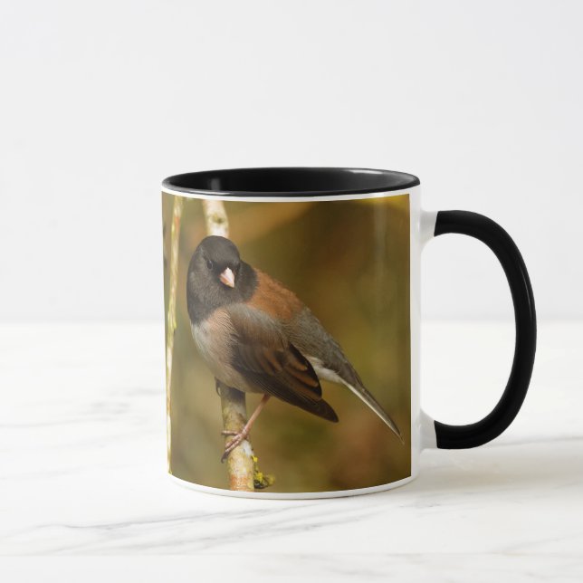 Mug Curieux oiseau-chanteur Junco à sourcils noirs (Droite)