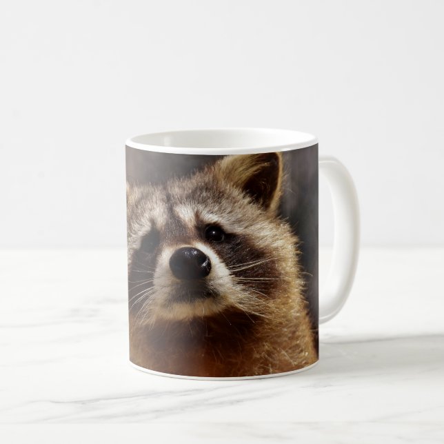 Mug Curieux Raccoon (Devant droit)