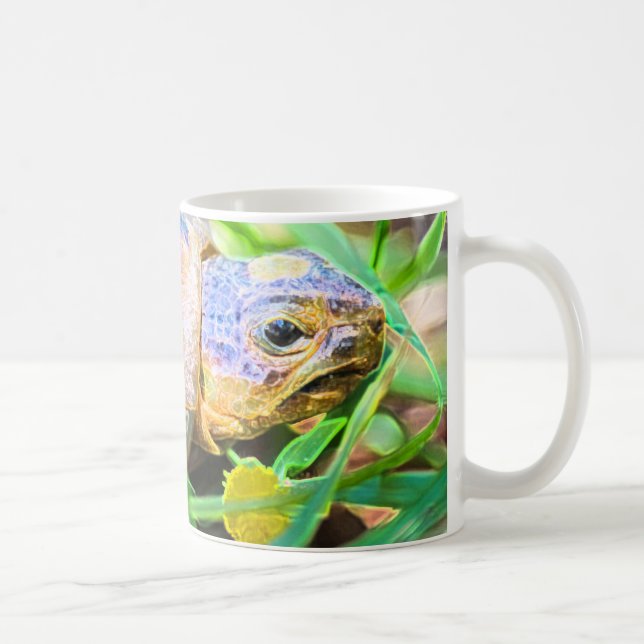 Mug Cute Angulate Tortoise Afrique du Sud Détails (Droite)