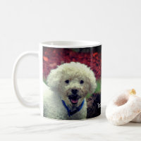 Cute boueux face poodle personnalisé