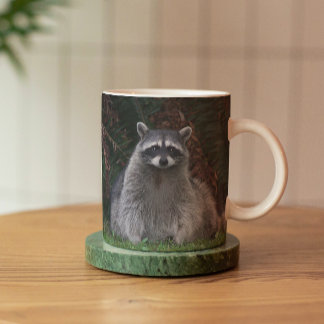 Mug Cute Forest Raccoon Photo Faune