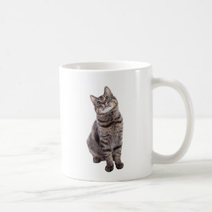 Mug Cute tabby Cat