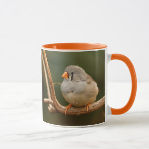 Mug Cute Zebra Finch Songbird Assis Joli