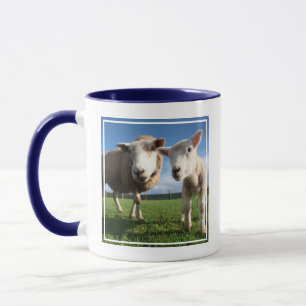 Mug Cutest Baby Animals   Newborn Lamb & Mama