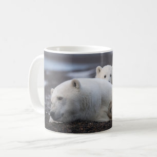 Mug Cutest Baby Animals   Polar Bear Family Alaska