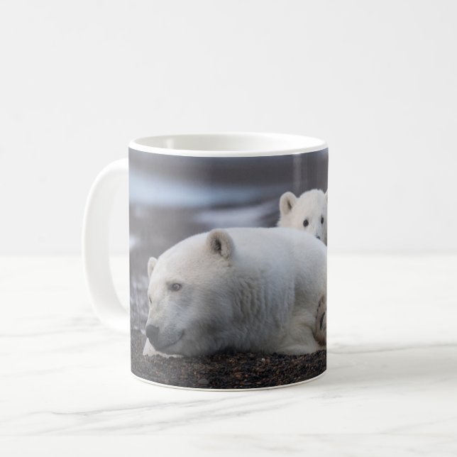 Mug Cutest Baby Animals | Polar Bear Family Alaska (Devant gauche)