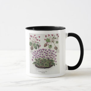 Mug Cyclamen : hederaceis de foliis du serotinum