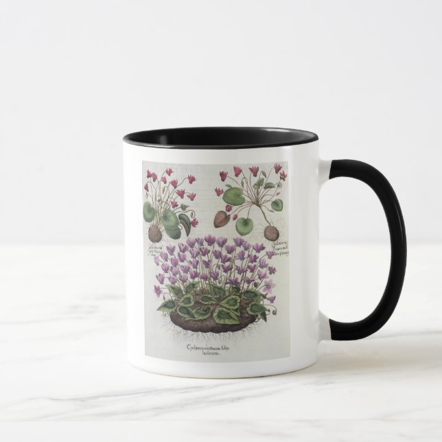 Mug Cyclamen : hederaceis de foliis du serotinum (Droite)