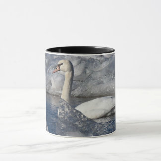 Mug Cygne juvénile dans la rivière Icey