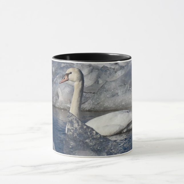 Mug Cygne juvénile dans la rivière Icey (Centre)