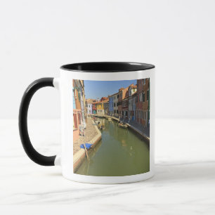 Mug Cygnes dans un canal, île de Burano, Venise, Itali