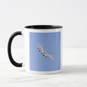 Mug Cygnes de Whooper volant dans le ciel