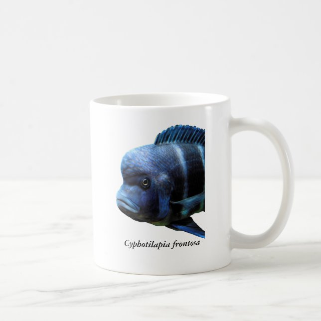 Mug Cyphotilapia frontosa (Droite)