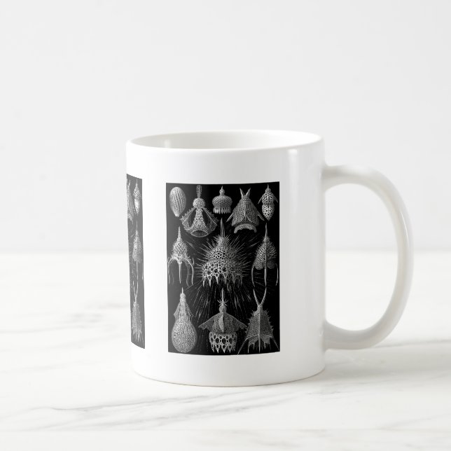 Mug Cyrtoidea (Droite)