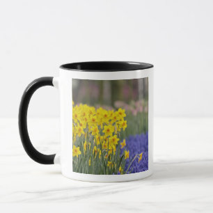 Mug Daffodils et raisins Hyacinth, Keukenhof