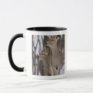 Mug Daine de cerfs communs de Sika et jeune, Hokkaido,