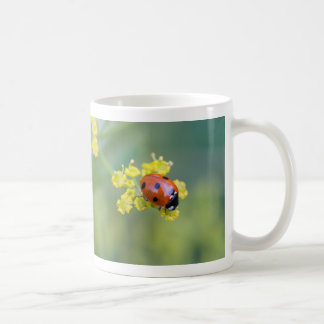 Mug dame sur le dessus