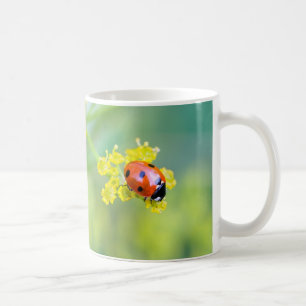 Mug dame sur le dessus