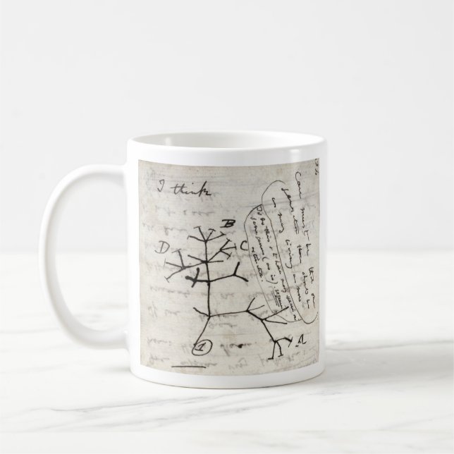 Mug darwin's notebook (Gauche)