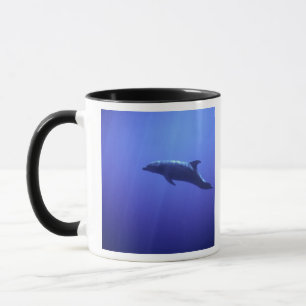 Mug Dauphin
