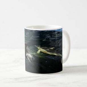 Mug Dauphin commun Mère et bébé Vie marine Scénique