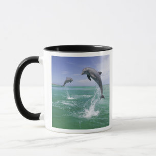 Mug Dauphins de verdure Tursiops truncatus