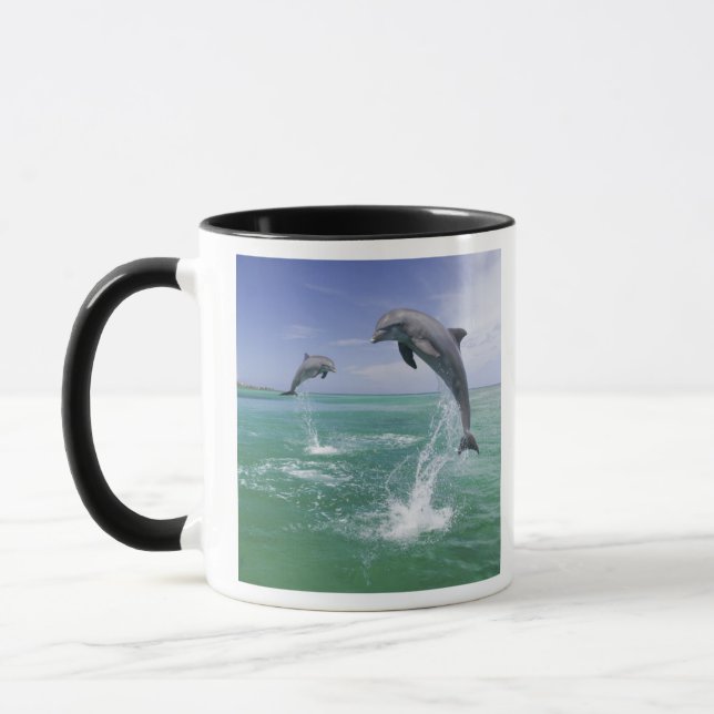Mug Dauphins de verdure Tursiops truncatus (Gauche)