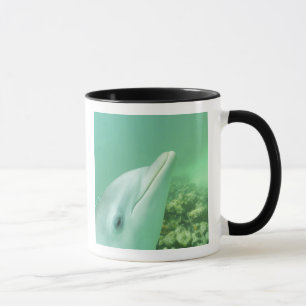 Mug Dauphins de verdure Tursiops truncatus