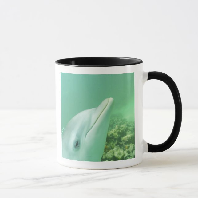 Mug Dauphins de verdure Tursiops truncatus (Droite)
