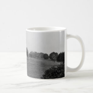 Mug De beaux arbres et la nature dans le brouillard