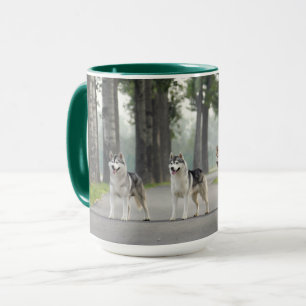 Mug De beaux chiens Husky sur un sentier naturel
