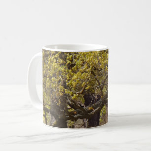 Mug de café blanc de la forêt