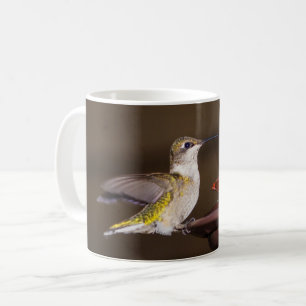 Mug de café de colibri à gorge rubis