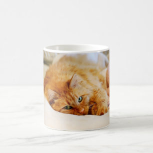 Mug de chats orange doux