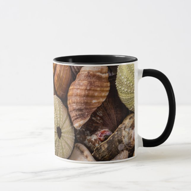 Mug de coquilles marines mixtes (Droite)