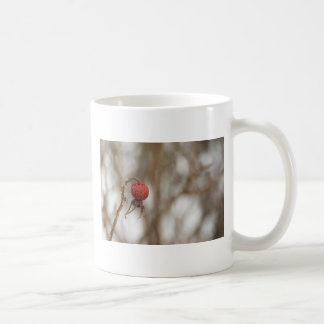 Mug de fruits Roses sauvages