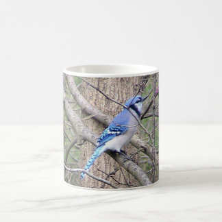 Mug de Jay bleu (Ohio)