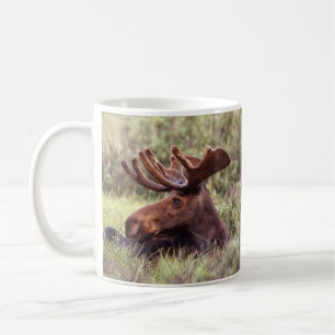 Mug de l'orignal