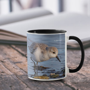 Mug De mignonnes fourrages de Sanderling sur le rivage