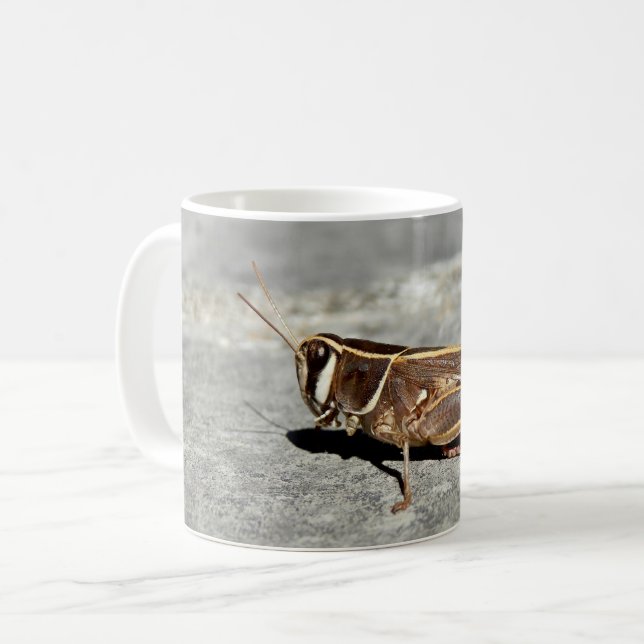 Mug de sauterelles à deux bandes (Devant gauche)