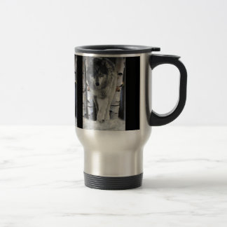 Mug De Voyage Alpha Male GRAY TIMBRE WOLF Wild Wildlife Cadft Mu