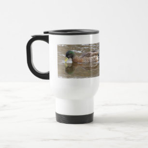 Mug de voyage Canard colvert