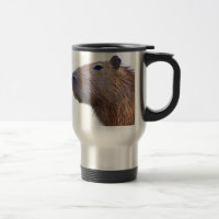 Capybara